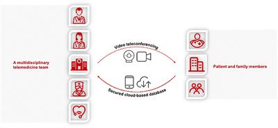 Multidisciplinary Telemedicine Care for Tourette Syndrome: Minireview